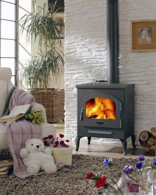 Дровяная печь PANADERO Печь Gothic 2 дровяная (распродажа)